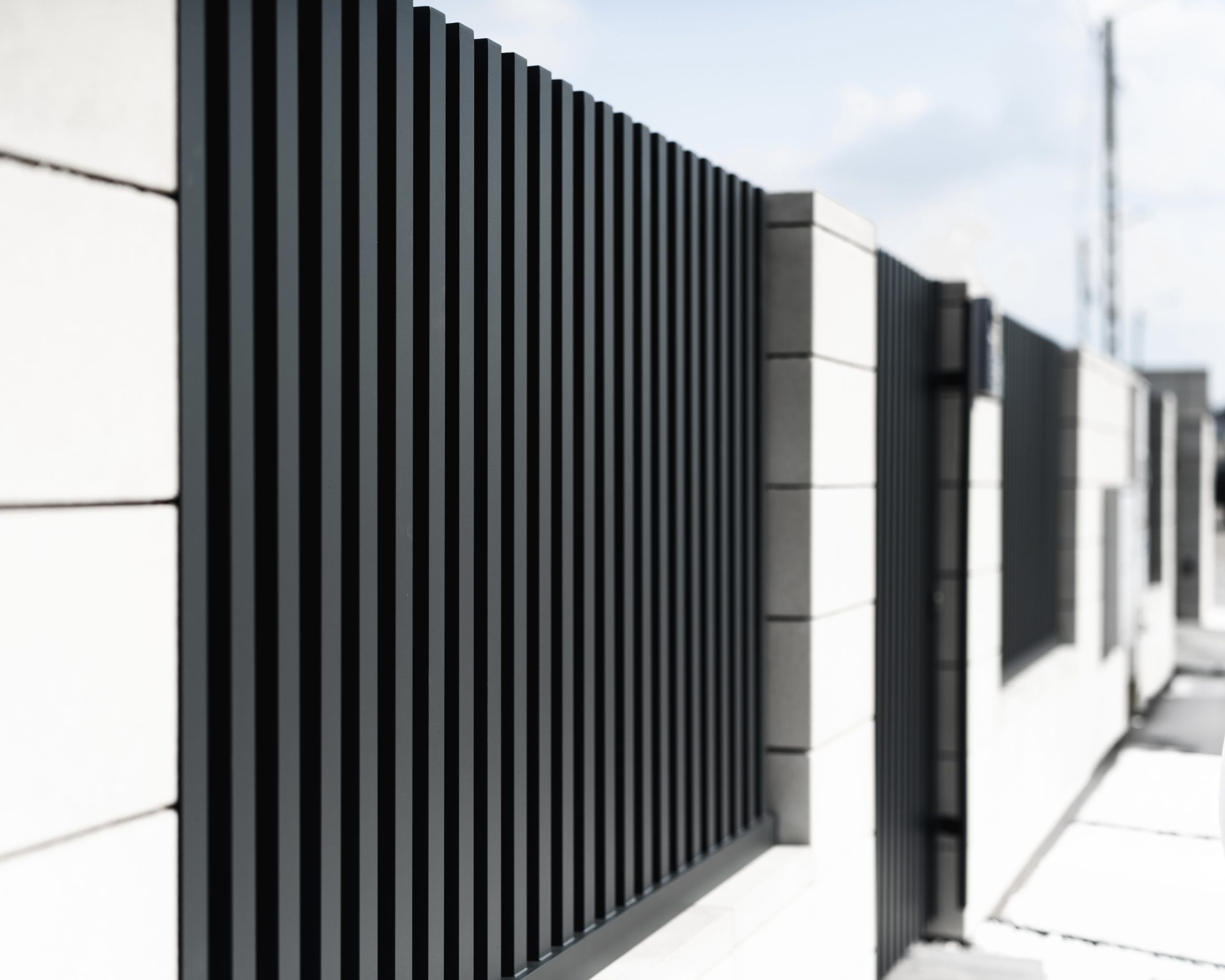 DSC06037-4x5-1-scaled Palisar