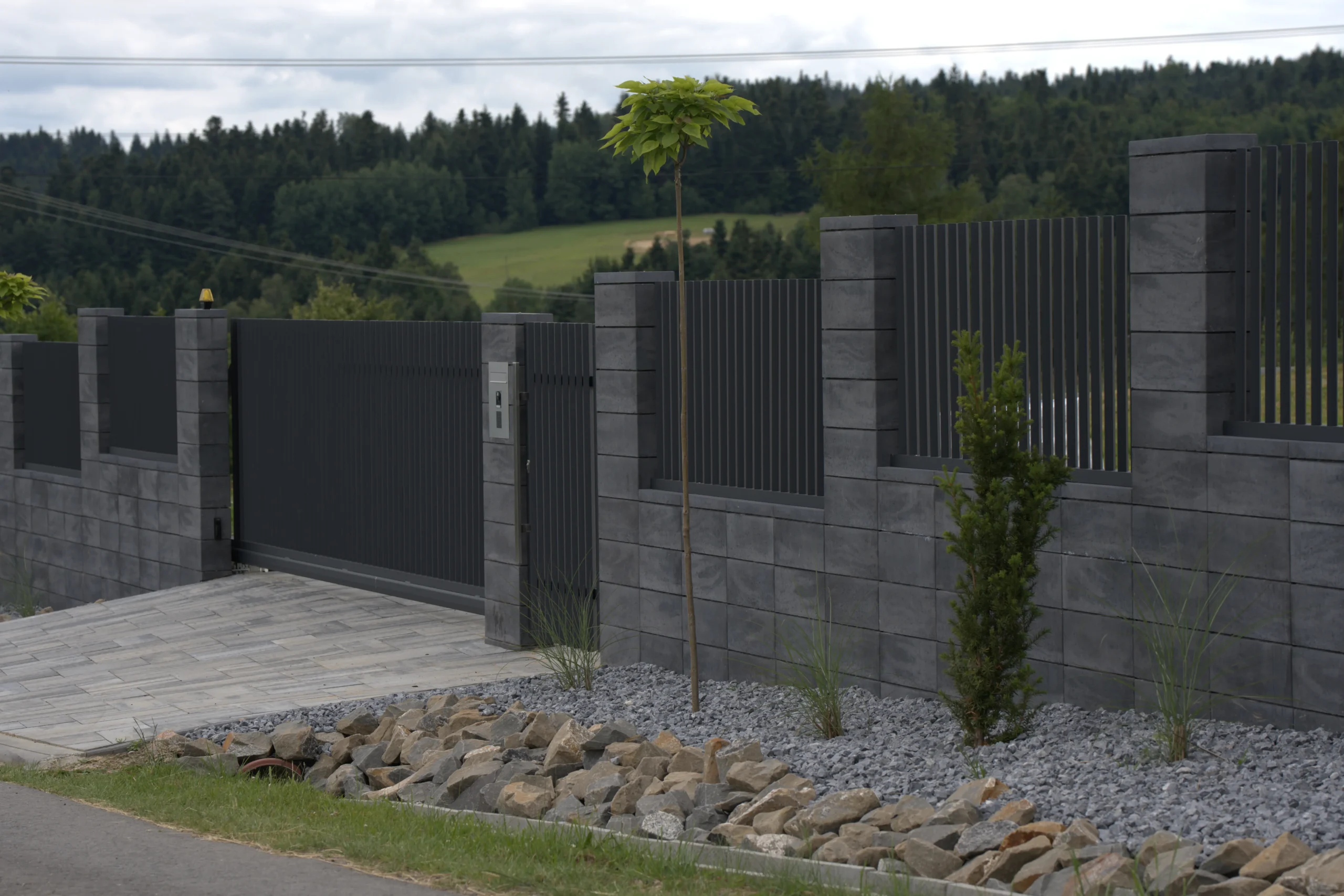 DSC06346-scaled Palisar-L